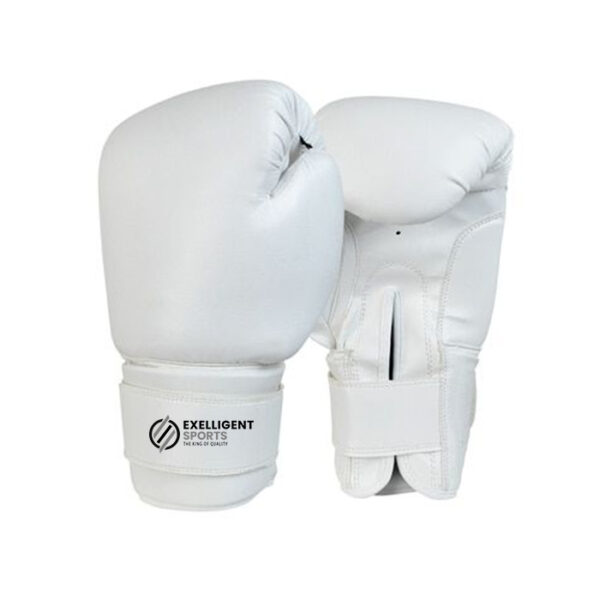 Boxing Gloves Engineered for Impact Designed for Champions